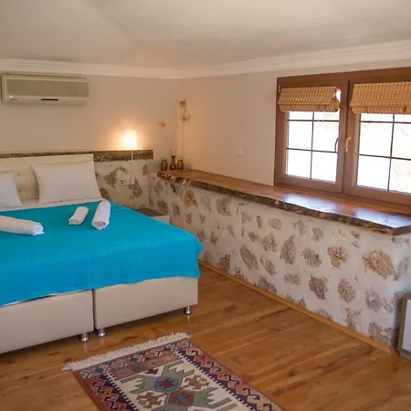 Villa Patara וילה *